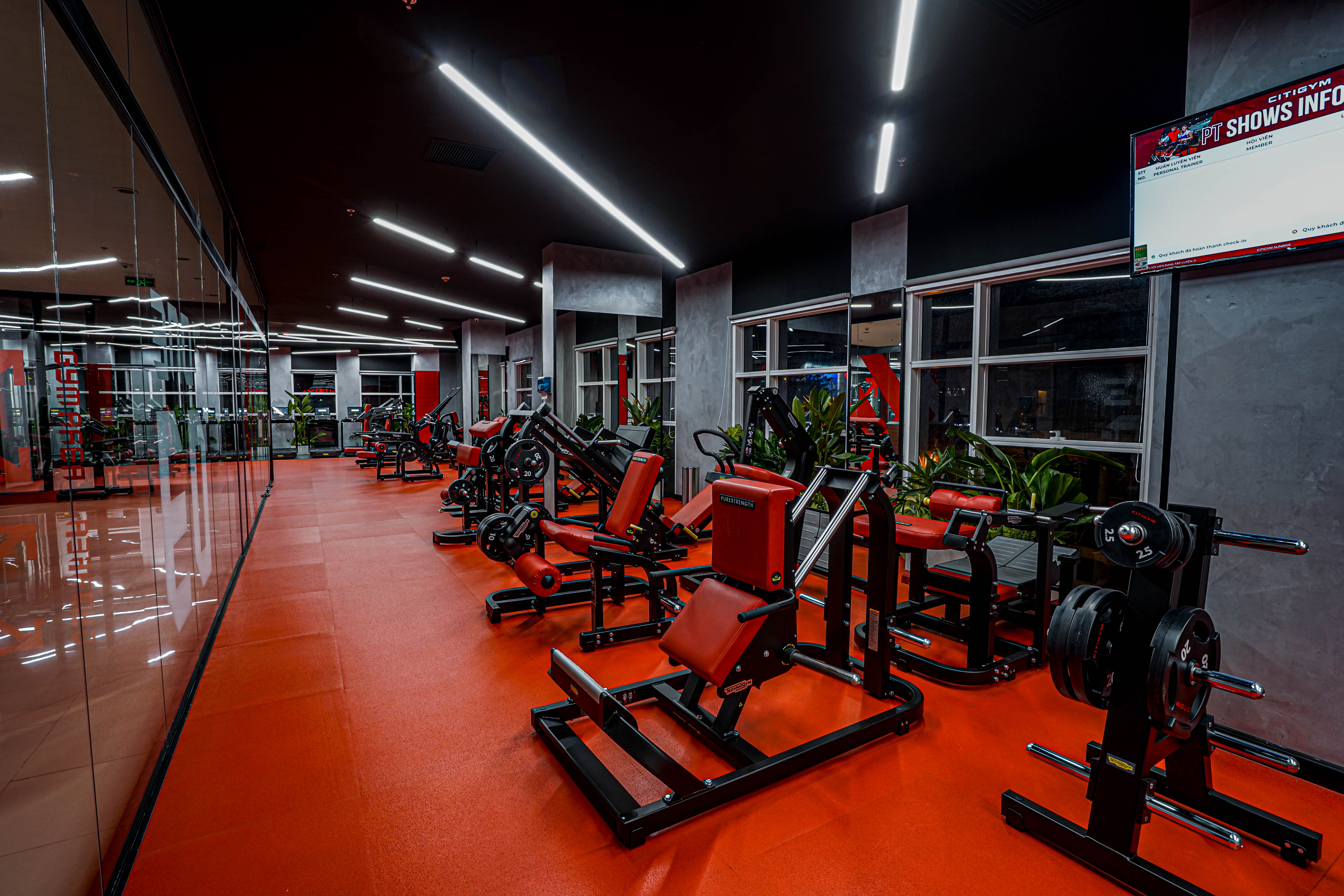 Phòng tập gym Phường Tân Hưng Sunrise South - Nơi tập luyện đẳng cấp ...